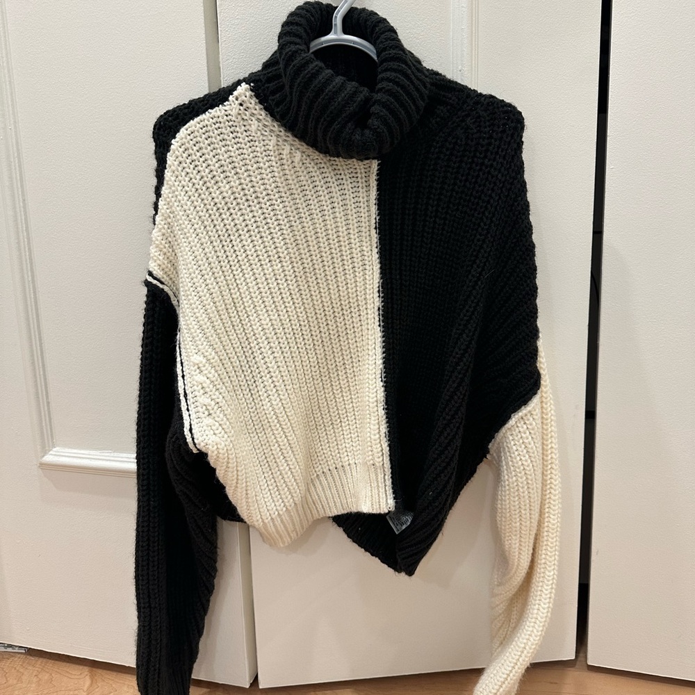 Zara Knit Turtleneck